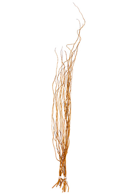 Curly Willow 3-5' Natural
