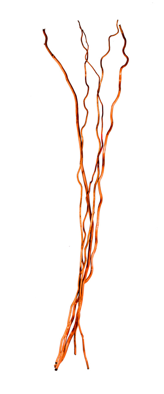 Corkscrew Willow Burnt Oak 48"