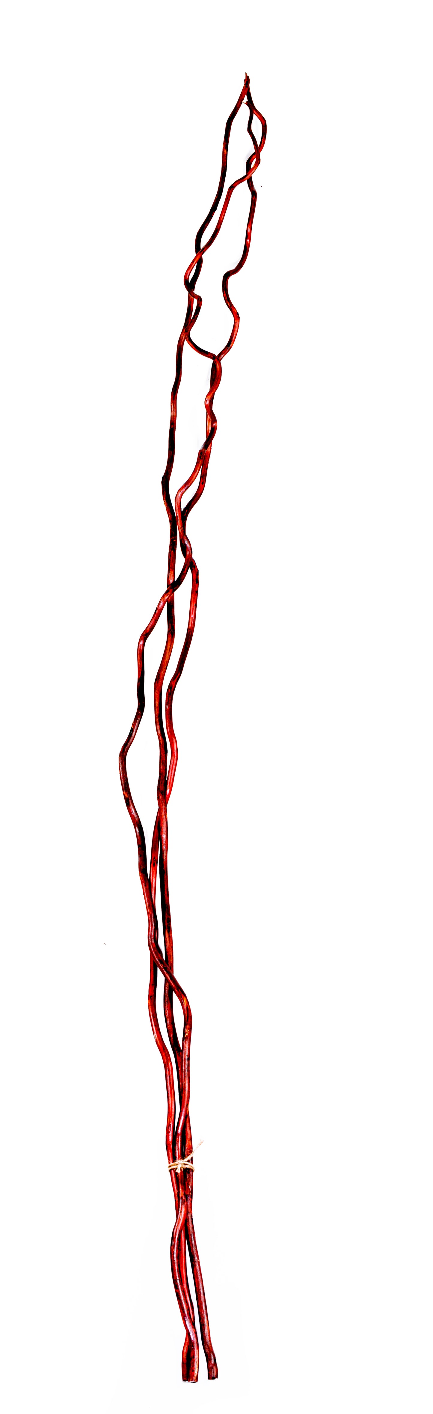 Corkscrew Willow Mahogany 48"