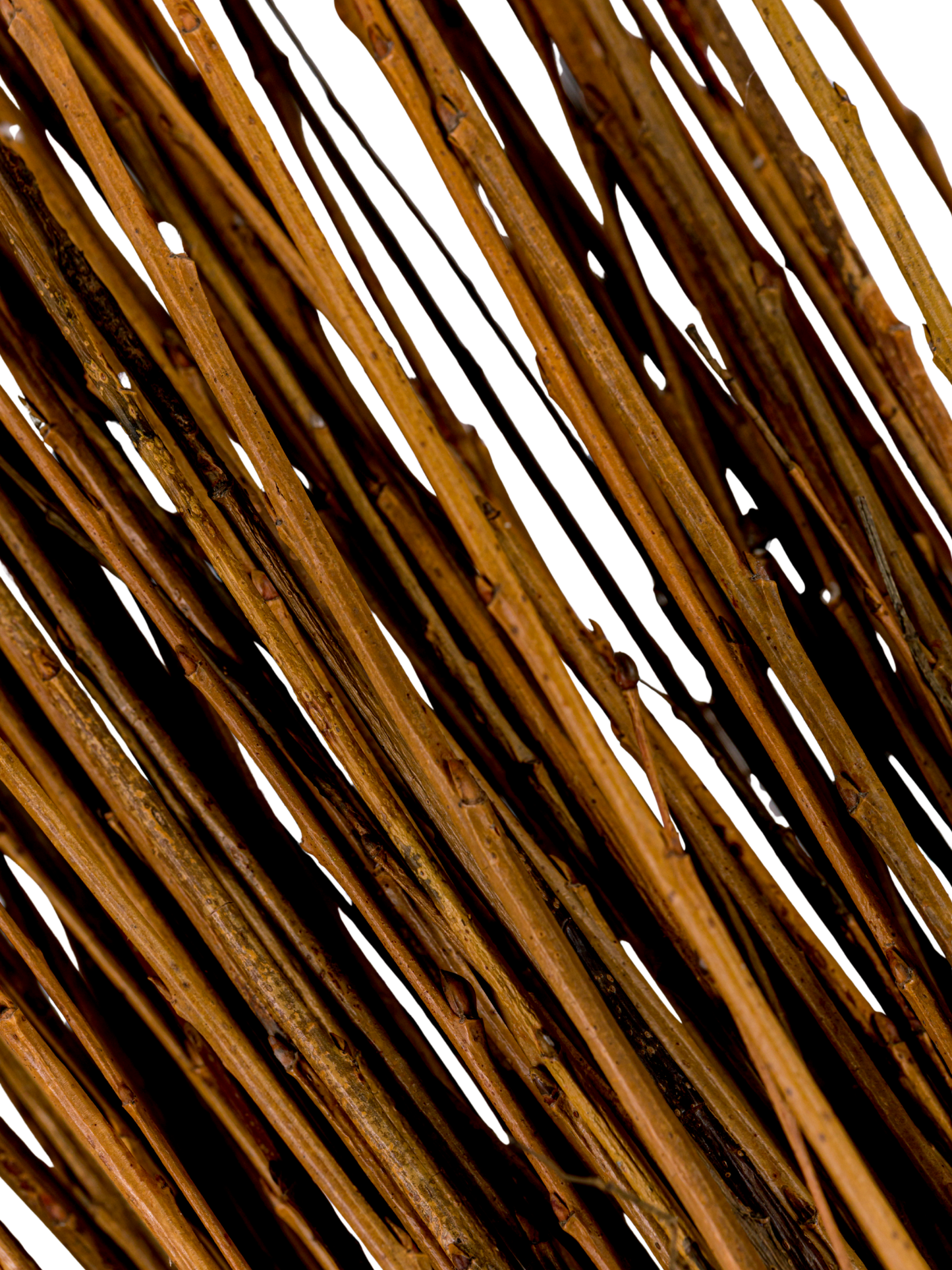 Asian Willow 5' Natural
