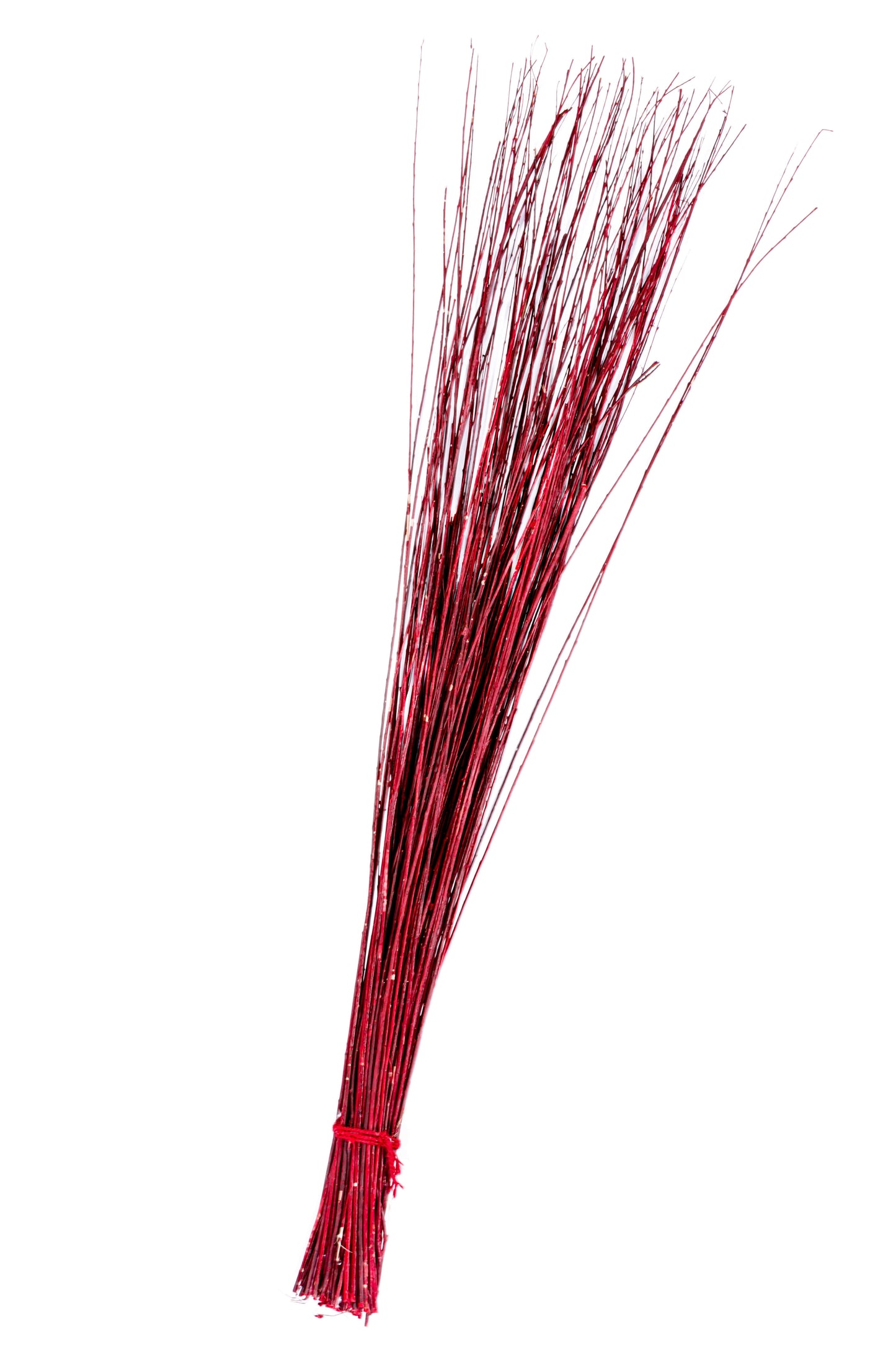 Asian Willow 5' Red
