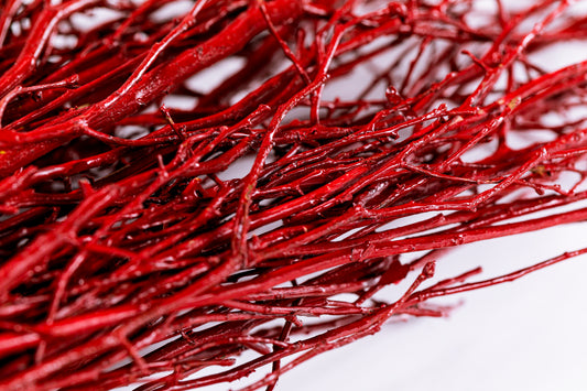 Sweet Huck Branches Red