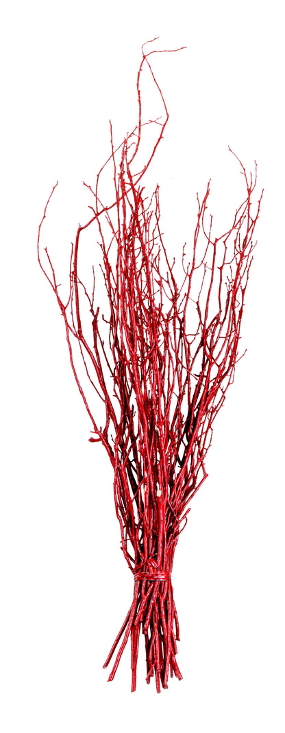 Bouquet of red branches on a white background