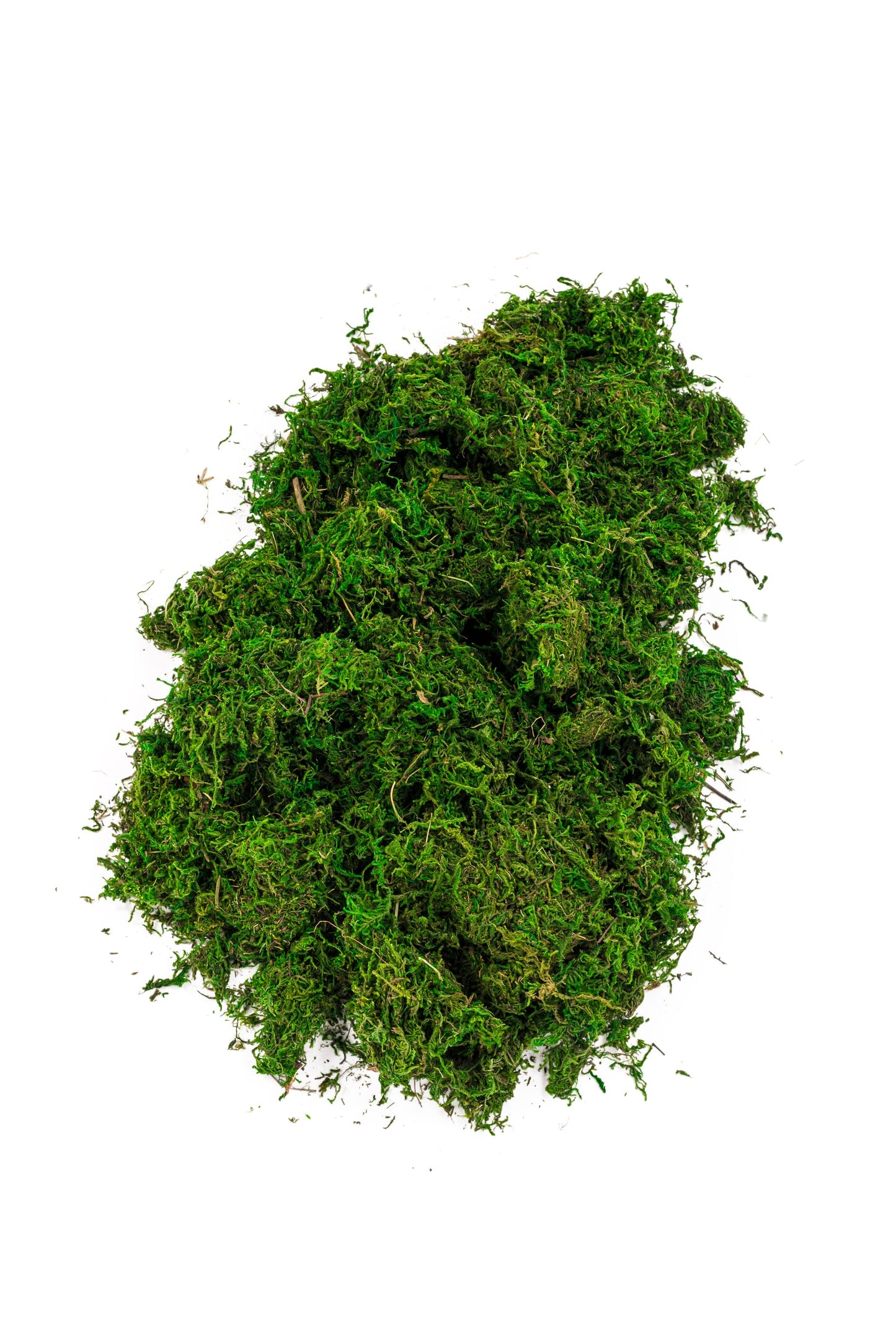 Stone Moss