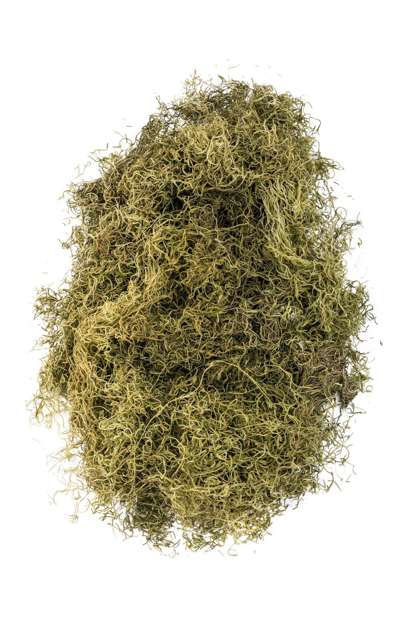 Spanish Moss 1 lb
