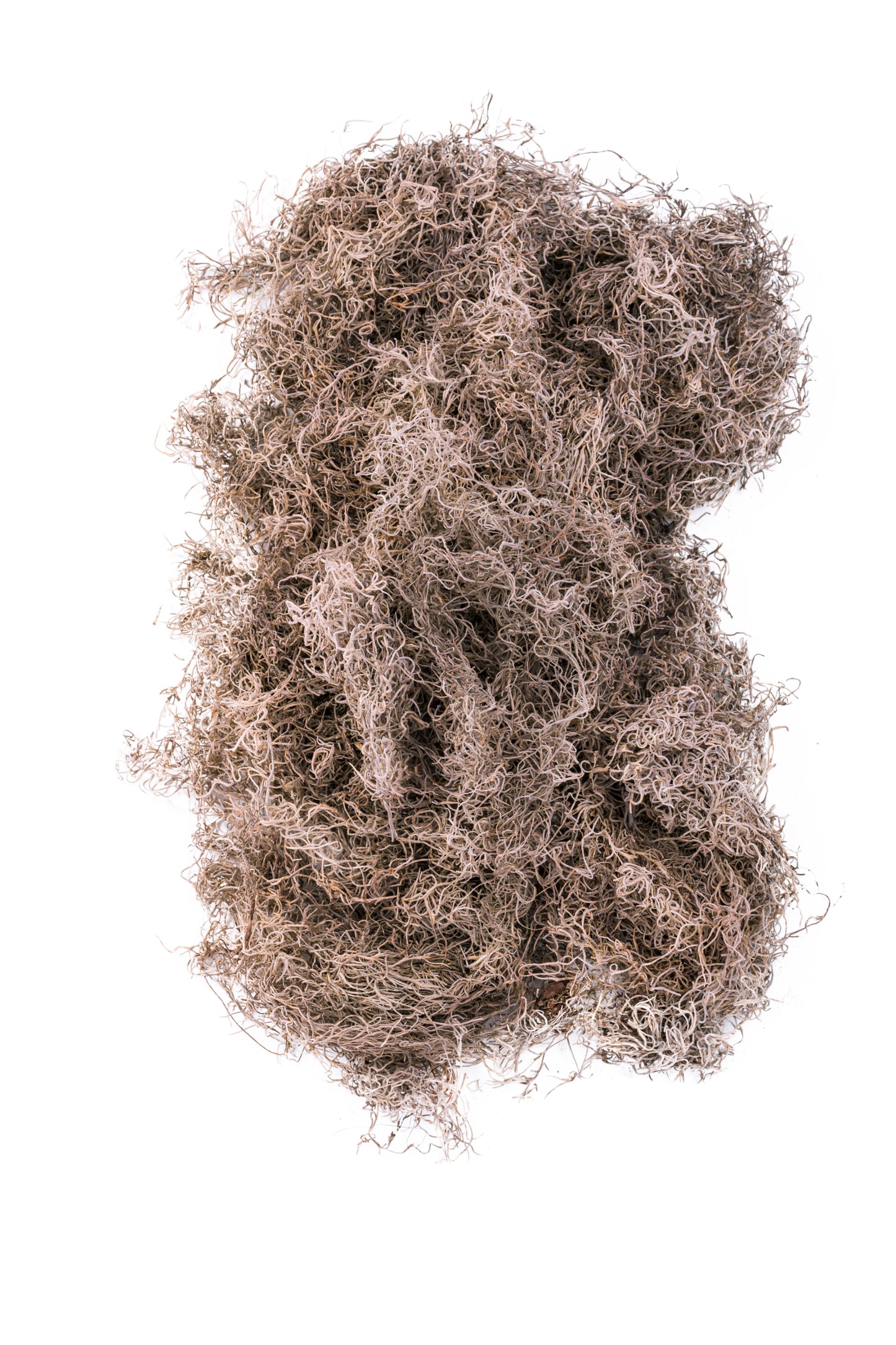 Spanish Moss 5 bushel