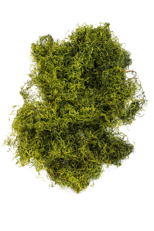 Spanish Moss 5 bushel