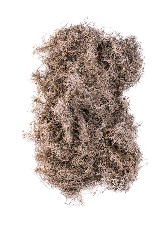 Spanish Moss 1.24 cu ft