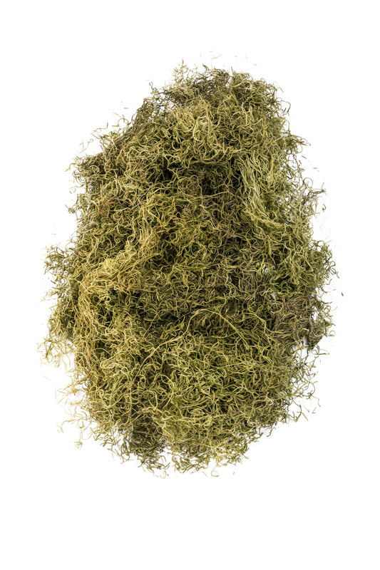 Spanish Moss 1.24 cu ft