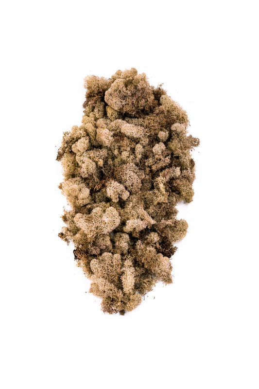 Reindeer Moss 3 lb