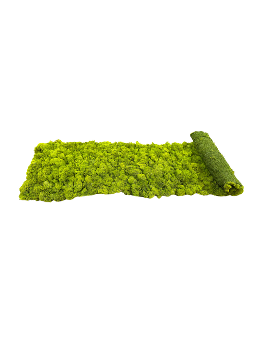 Reindeer Moss Runner 3’
