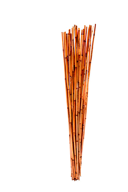 River Cane 3.5' Walnut