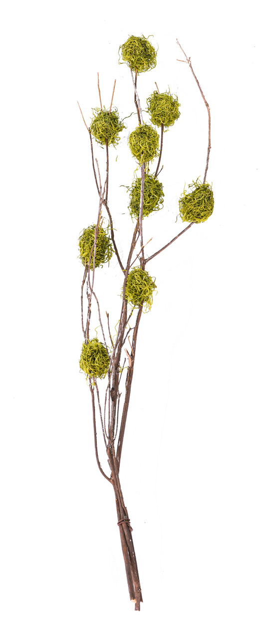 Mt Laurel Branch w/ Moss 48"