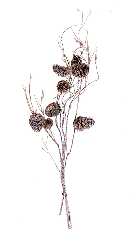Mt Laurel Branch w/Cones 48"