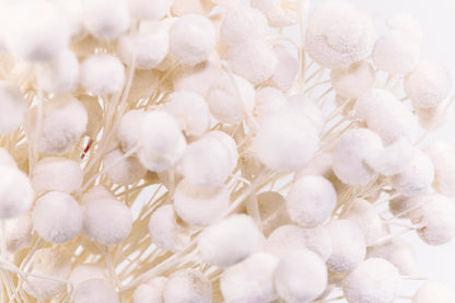 Floral Buttons Bleach White