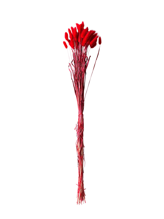 Bunny Tail Red