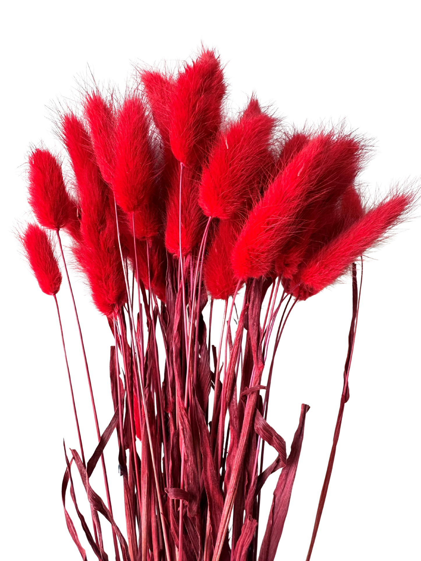 Bunny Tail Red