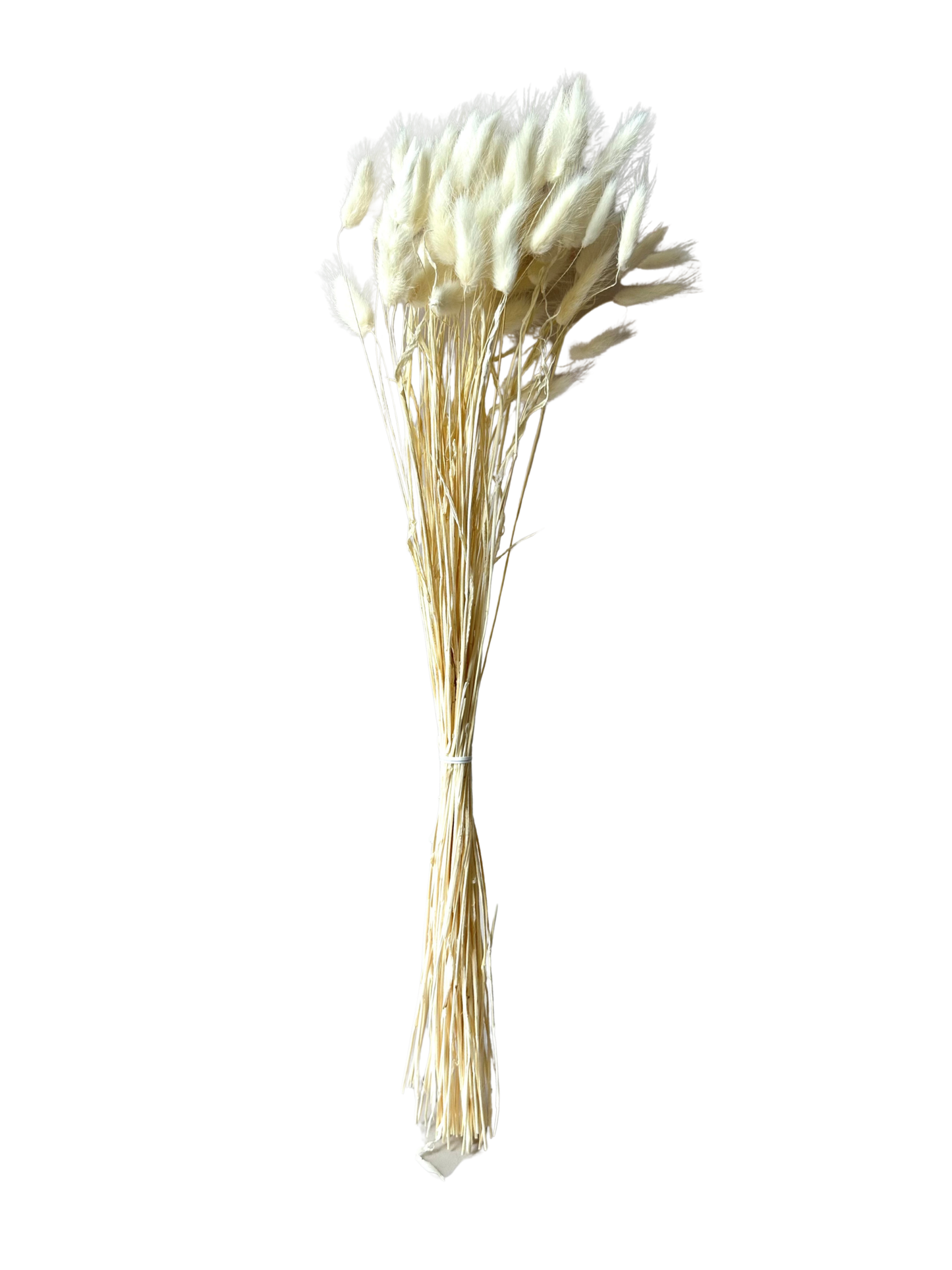 Bunny Tails Bleach White