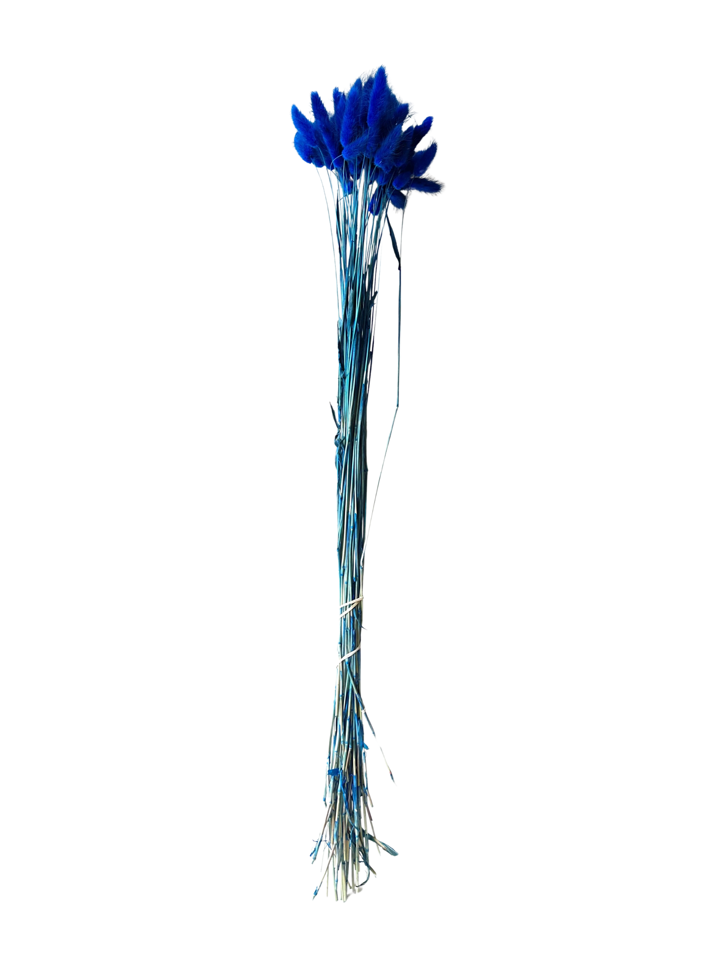 Bunny Tail Blue