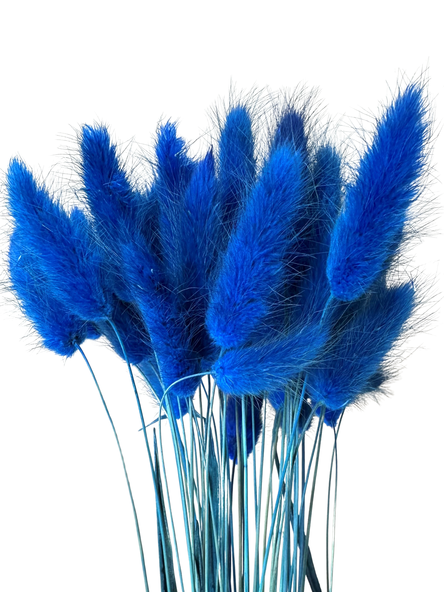 Bunny Tail Blue