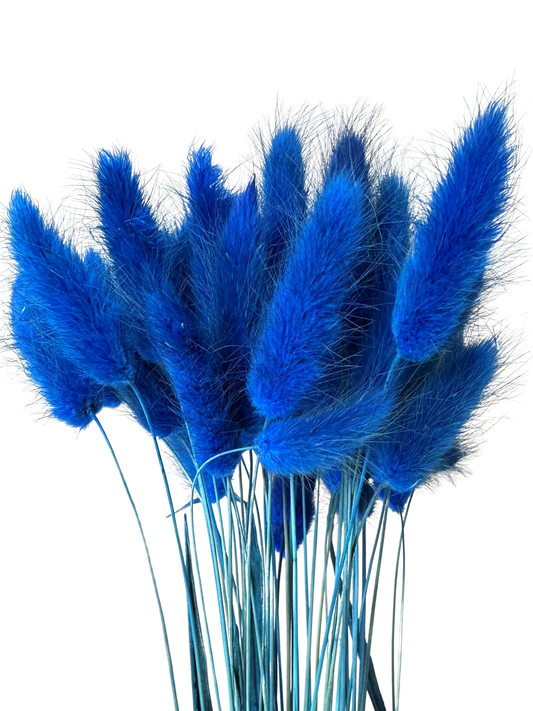 Bunny Tail Blue