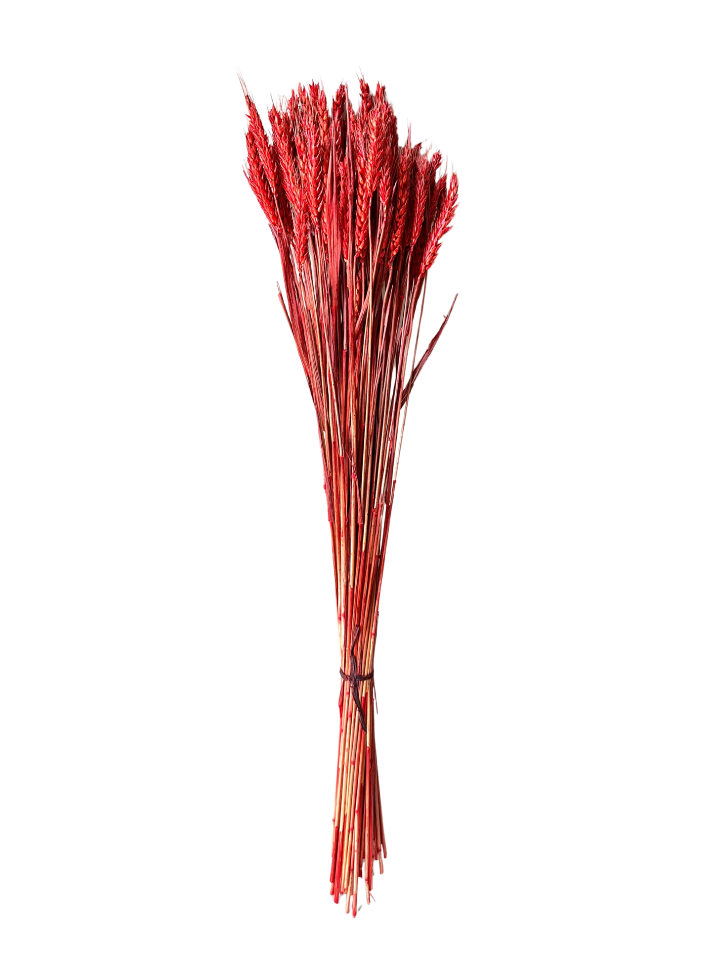 Rye Wheat Red