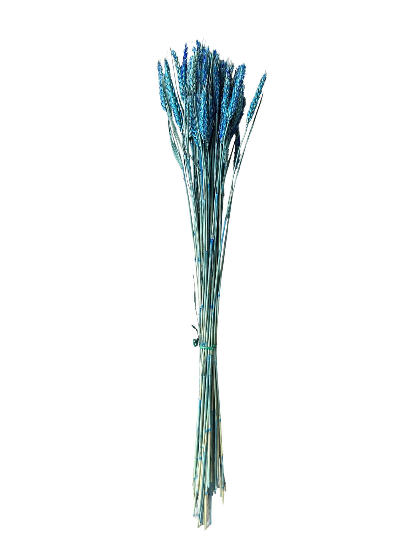 Rye Wheat Blue