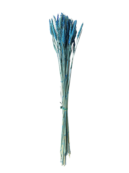 Rye Wheat Blue