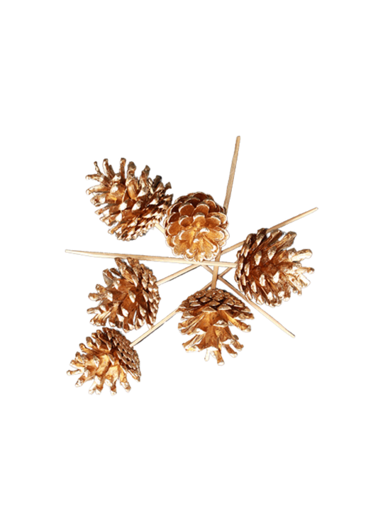 Austriaca Cone/6" Pick Goldleaf