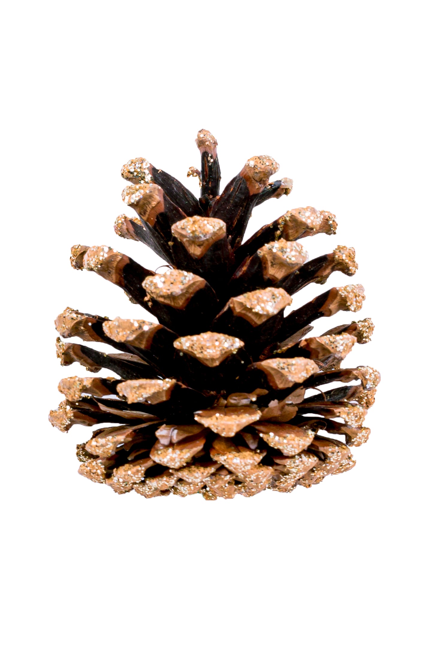 Austriaca Cone/6" Pick Gold Glitter Tip