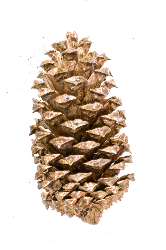 Medium Cone/6" Pick Goldleaf