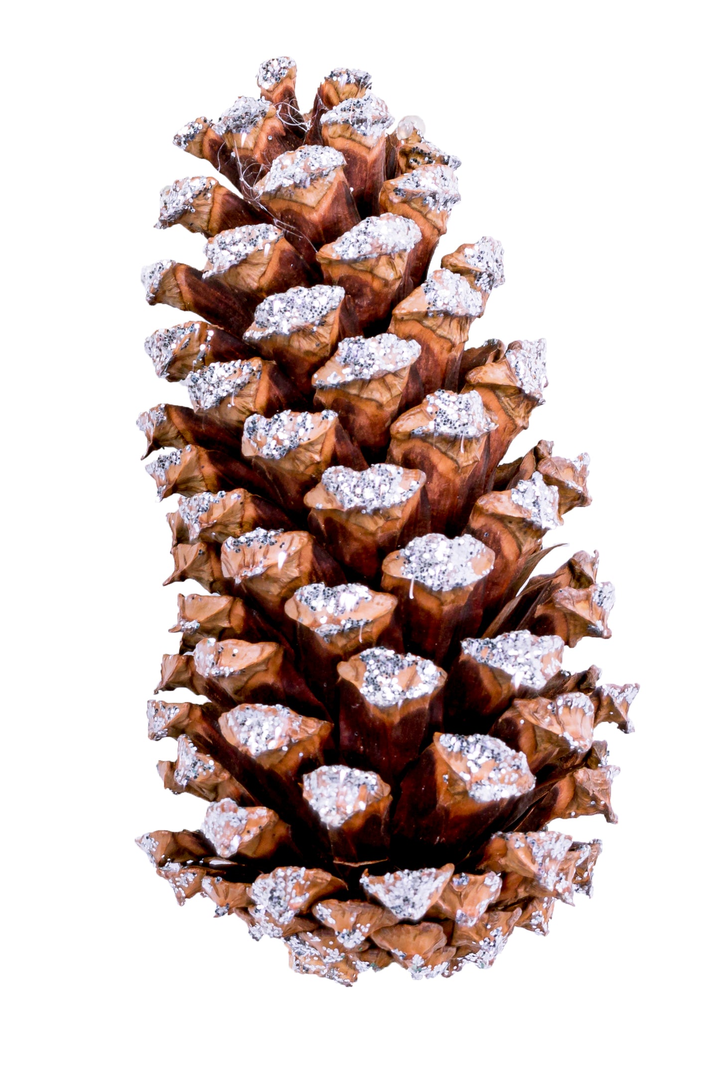 Medium Cone/6" Pick Frosted