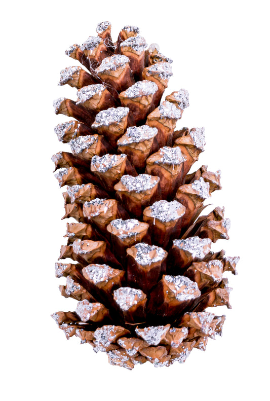 Medium Cone/6" Pick Frosted