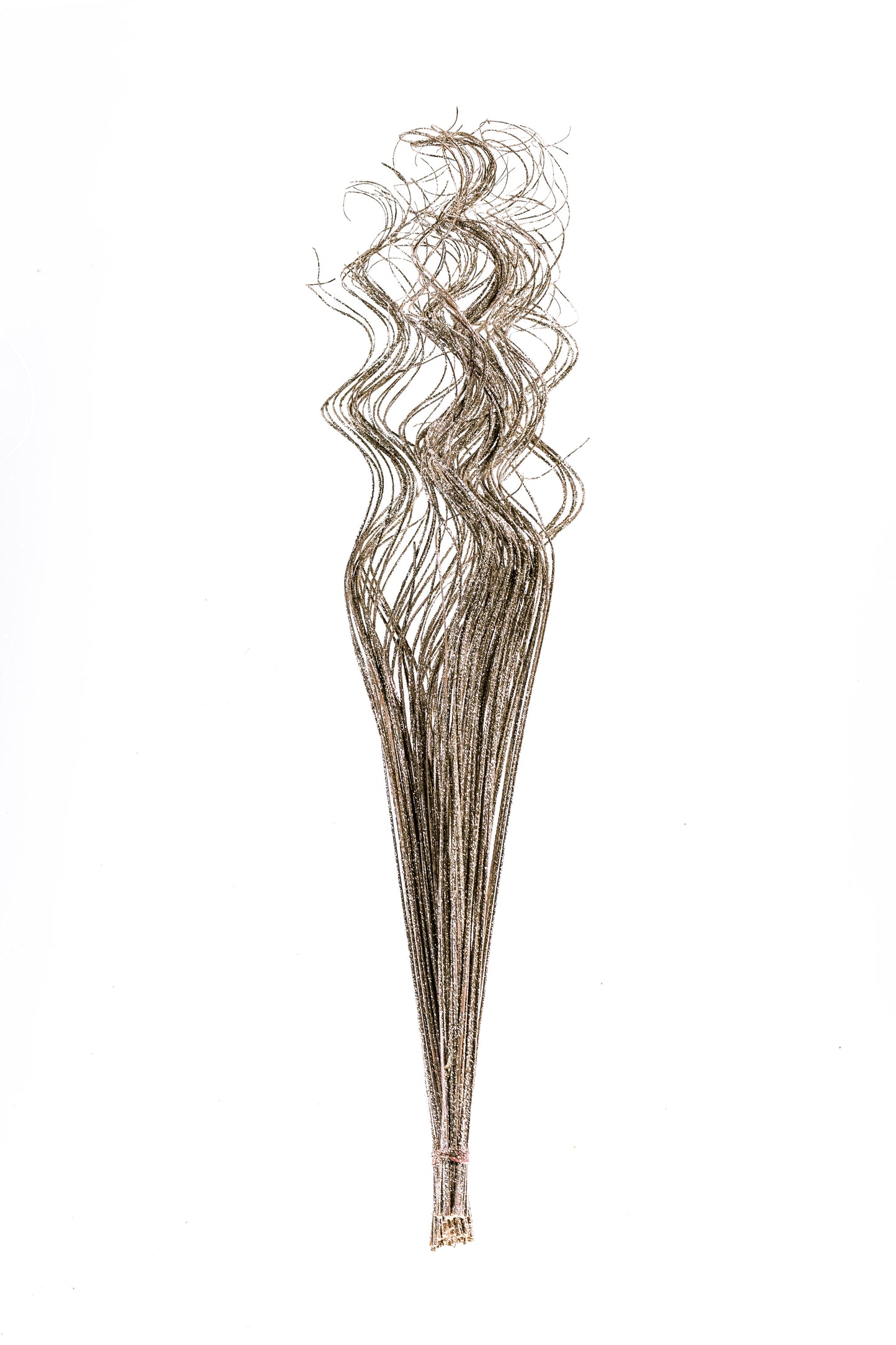 Sparkle Curly Ting