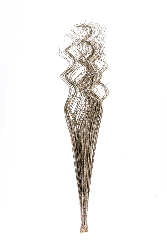Sparkle Curly Ting