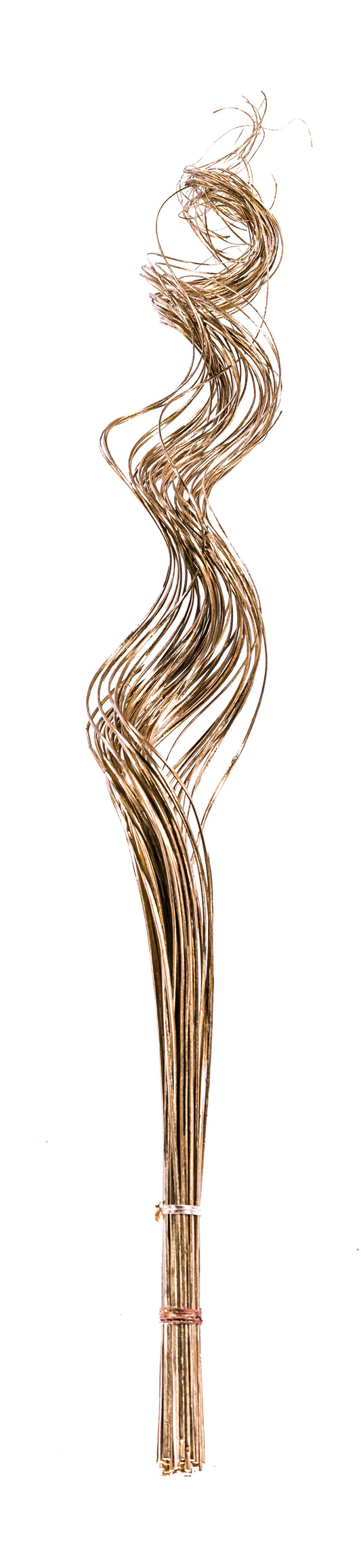 Curly Ting Goldleaf