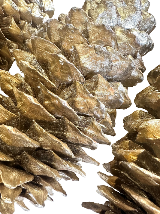 Sugar Cone Goldleaf