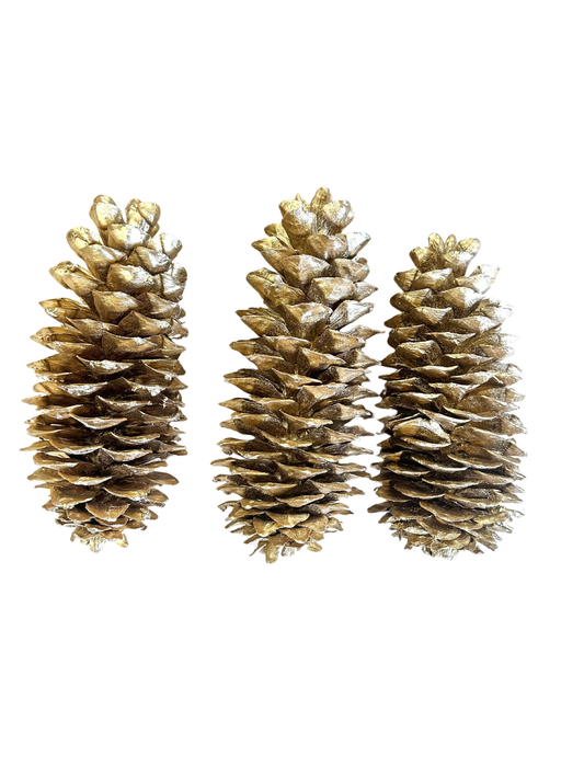 Sugar Cone Goldleaf