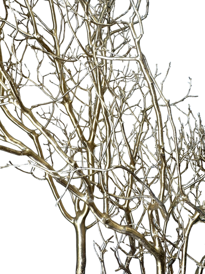 Manzanita 36"