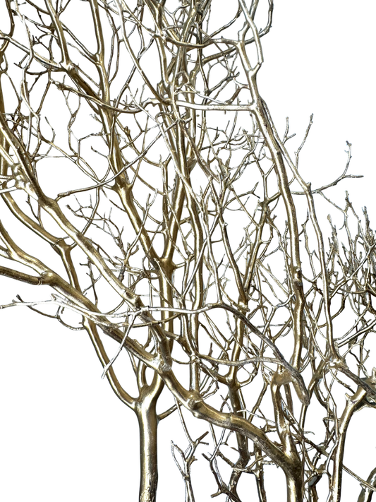 Manzanita 36"
