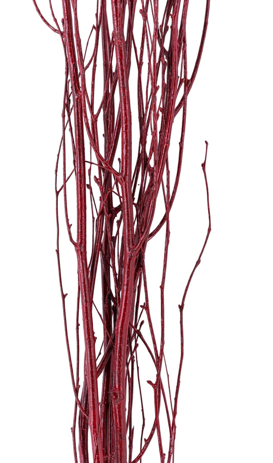 Birch Branch 3-4'