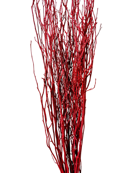 Birch Branch 3-4'