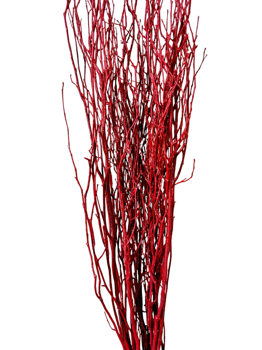 Birch Branch 3-4'