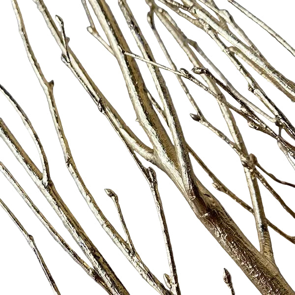 Birch Branch 3-4'