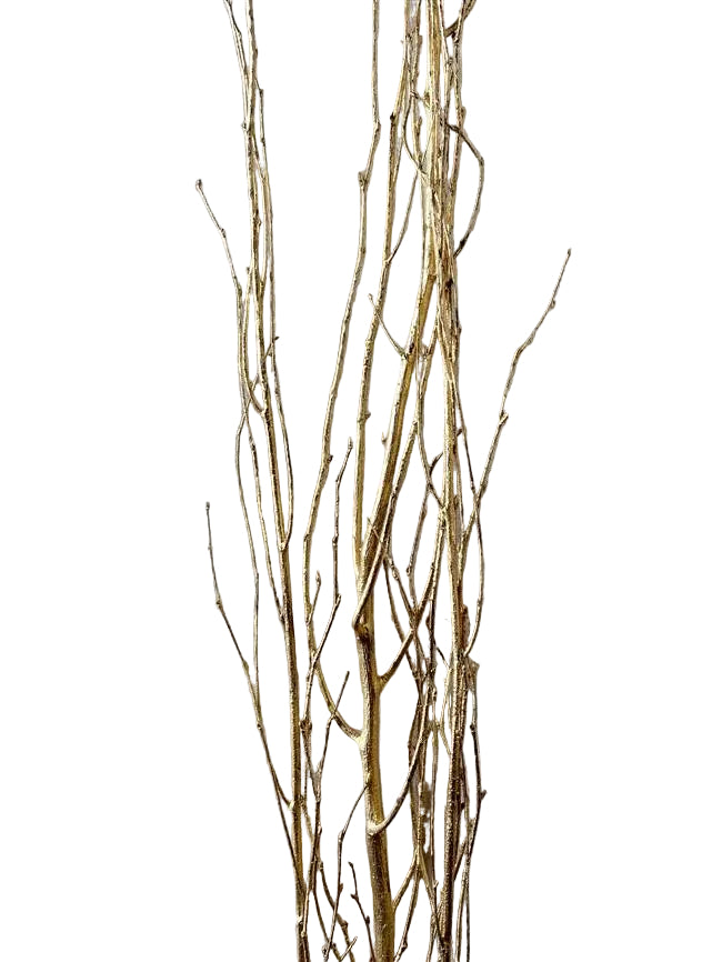 Birch Branch 3-4'