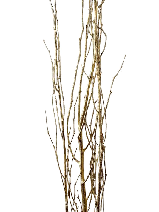 Birch Branch 3-4'