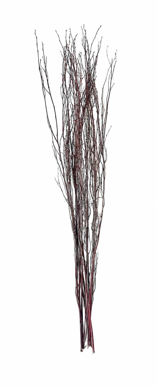 Birch Branch 3-4' Natural Bunch 25 pc