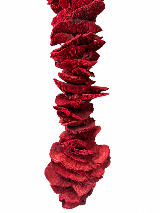 Sponge Mushroom Garland 54"