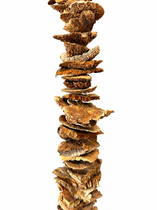 Sponge Mushroom Garland 54"