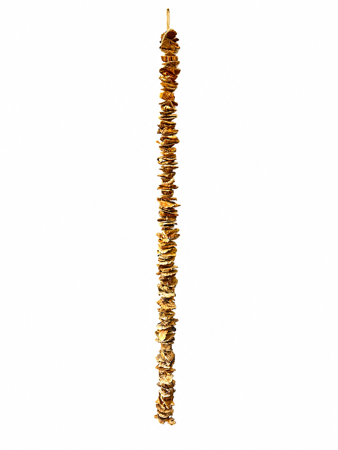 Sponge Mushroom Garland 54"